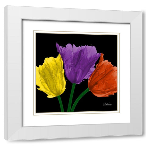 Shiny Jewel Tulips 3 White Modern Wood Framed Art Print with Double Matting by Koetsier, Albert