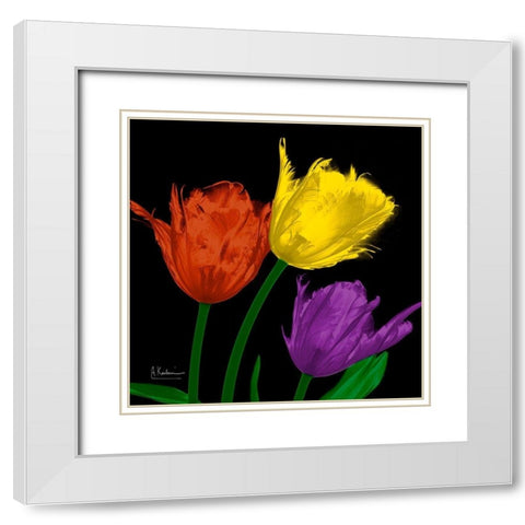 Shiny Jewel Tulips 4 White Modern Wood Framed Art Print with Double Matting by Koetsier, Albert