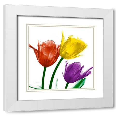 Shiny Jewel Tulips 2 White Modern Wood Framed Art Print with Double Matting by Koetsier, Albert