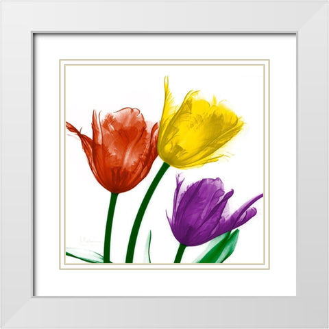 Shiny Jewel Tulips 2 White Modern Wood Framed Art Print with Double Matting by Koetsier, Albert