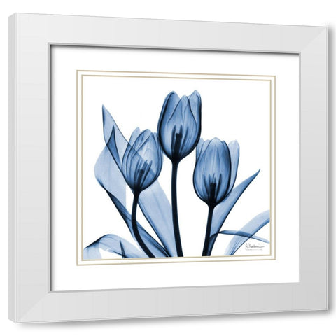 Indigo Tulips White Modern Wood Framed Art Print with Double Matting by Koetsier, Albert