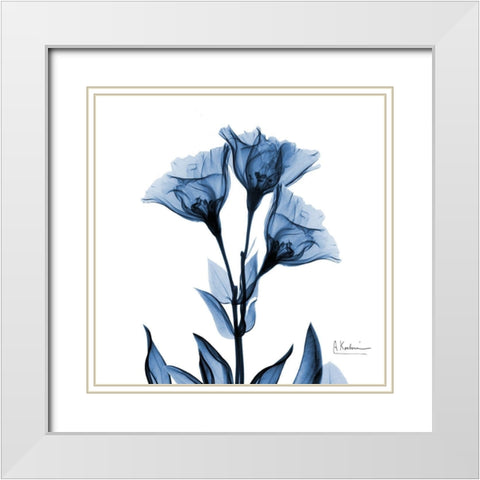 Indigo Gentian White Modern Wood Framed Art Print with Double Matting by Koetsier, Albert