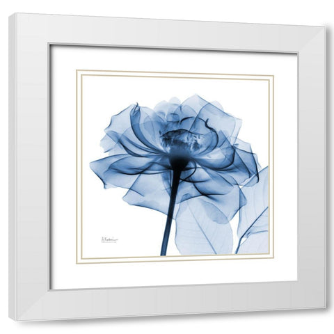 Indigo Rose White Modern Wood Framed Art Print with Double Matting by Koetsier, Albert