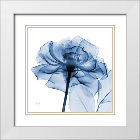 Indigo Rose White Modern Wood Framed Art Print with Double Matting by Koetsier, Albert