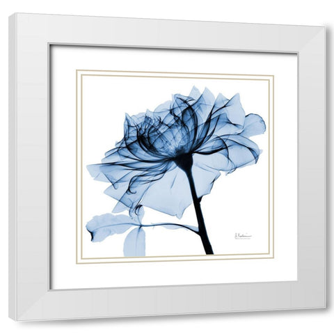 Indigo Rose 2 White Modern Wood Framed Art Print with Double Matting by Koetsier, Albert