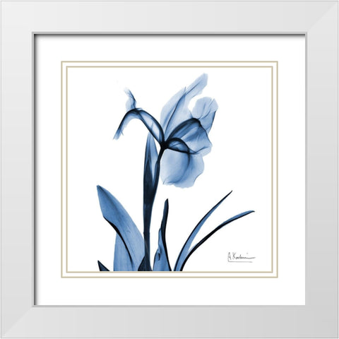 Indigo Iris White Modern Wood Framed Art Print with Double Matting by Koetsier, Albert