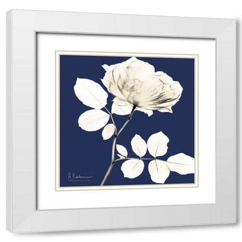 Rose Midnight Dynasty 1 White Modern Wood Framed Art Print with Double Matting by Koetsier, Albert