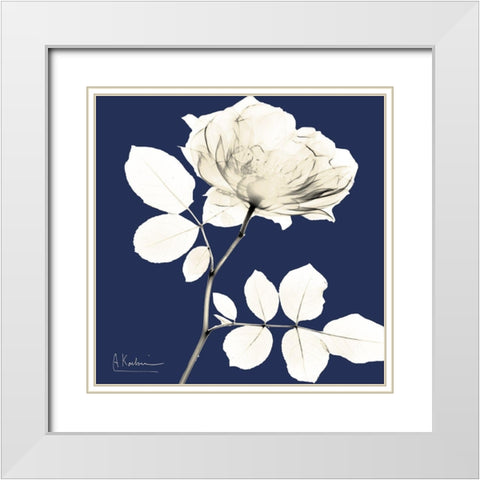 Rose Midnight Dynasty 1 White Modern Wood Framed Art Print with Double Matting by Koetsier, Albert