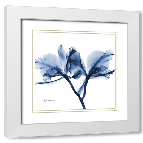 Indigo Orchid White Modern Wood Framed Art Print with Double Matting by Koetsier, Albert