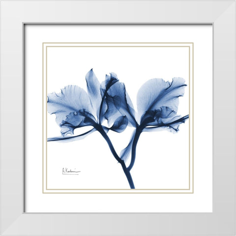 Indigo Orchid White Modern Wood Framed Art Print with Double Matting by Koetsier, Albert