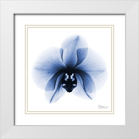 Indigo Infused Orchid 1 White Modern Wood Framed Art Print with Double Matting by Koetsier, Albert