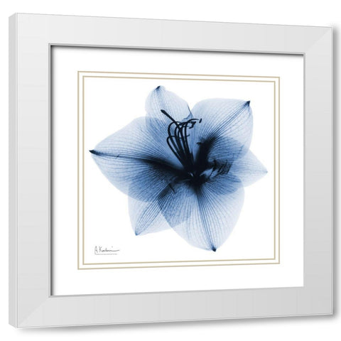 Indigo Amaryllis 1 White Modern Wood Framed Art Print with Double Matting by Koetsier, Albert