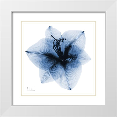 Indigo Amaryllis 1 White Modern Wood Framed Art Print with Double Matting by Koetsier, Albert