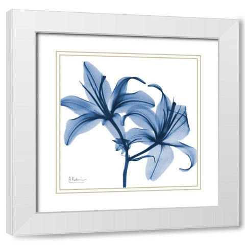 Indigo Infused Lily White Modern Wood Framed Art Print with Double Matting by Koetsier, Albert