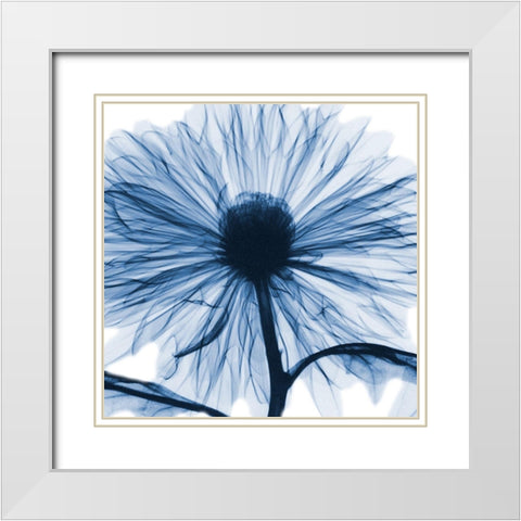 Indigo Chrysanthemum White Modern Wood Framed Art Print with Double Matting by Koetsier, Albert