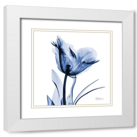 Indigo Softened Tulip White Modern Wood Framed Art Print with Double Matting by Koetsier, Albert