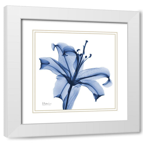 Glorious Indigo Lily White Modern Wood Framed Art Print with Double Matting by Koetsier, Albert