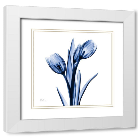 Enchanted Indigo Tulips White Modern Wood Framed Art Print with Double Matting by Koetsier, Albert