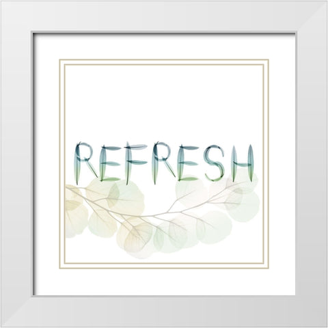 Refresh White Modern Wood Framed Art Print with Double Matting by Koetsier, Albert