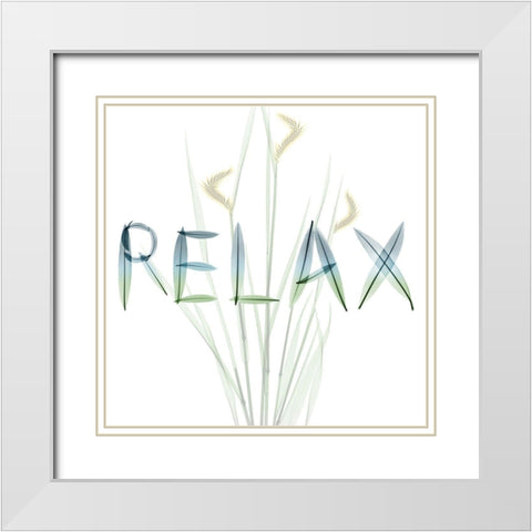 Relax White Modern Wood Framed Art Print with Double Matting by Koetsier, Albert