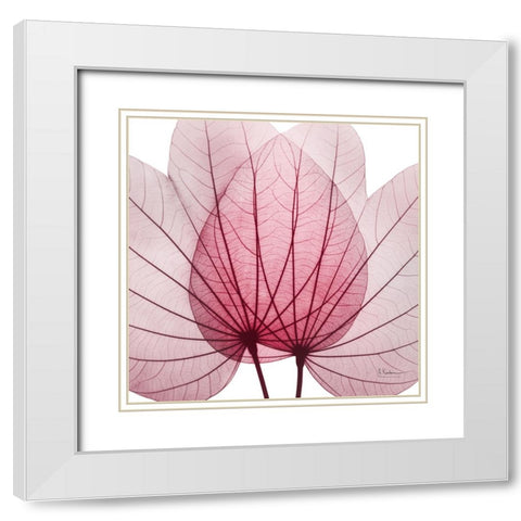 Brilliant Orchid Tree White Modern Wood Framed Art Print with Double Matting by Koetsier, Albert