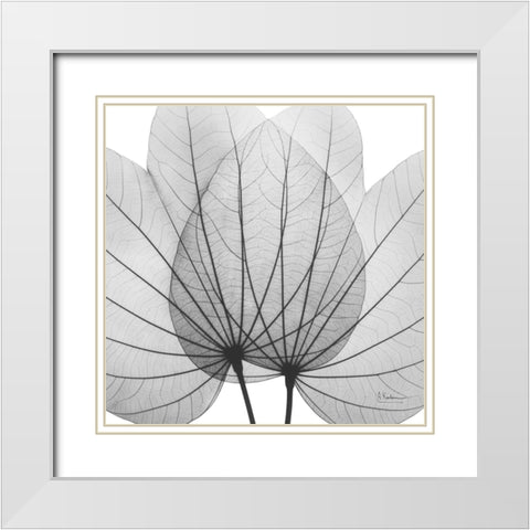 Orchid Tree BW White Modern Wood Framed Art Print with Double Matting by Koetsier, Albert