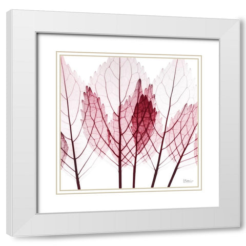 Brilliant Growth White Modern Wood Framed Art Print with Double Matting by Koetsier, Albert