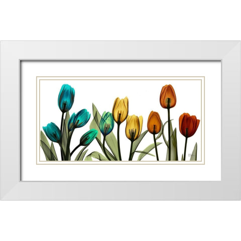 New Tulipscape White Modern Wood Framed Art Print with Double Matting by Koetsier, Albert