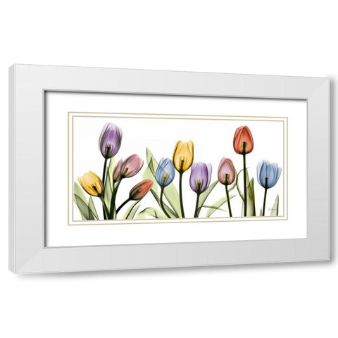 Tulipscape White Modern Wood Framed Art Print with Double Matting by Koetsier, Albert