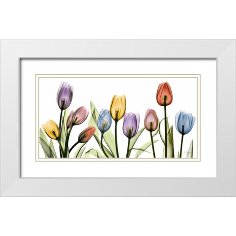 Tulipscape White Modern Wood Framed Art Print with Double Matting by Koetsier, Albert