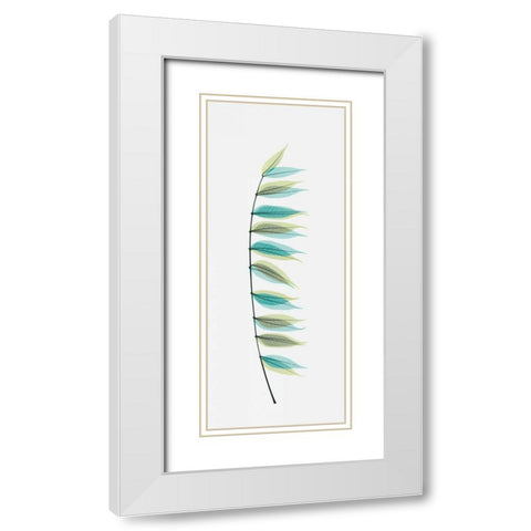 Chinese Pistachio White Modern Wood Framed Art Print with Double Matting by Koetsier, Albert