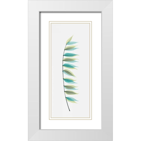 Chinese Pistachio White Modern Wood Framed Art Print with Double Matting by Koetsier, Albert