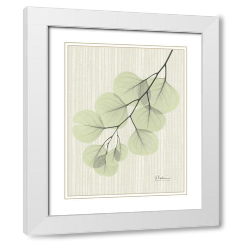 Eucalyptus E196 White Modern Wood Framed Art Print with Double Matting by Koetsier, Albert