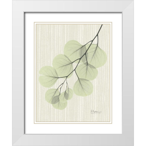 Eucalyptus E196 White Modern Wood Framed Art Print with Double Matting by Koetsier, Albert