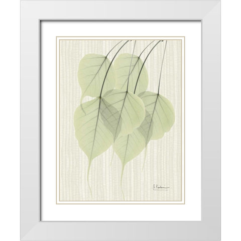 Bo Tree E158 White Modern Wood Framed Art Print with Double Matting by Koetsier, Albert