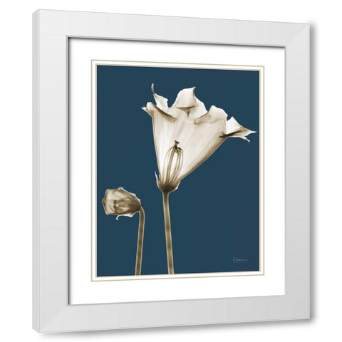 Gloxinia TOP White Modern Wood Framed Art Print with Double Matting by Koetsier, Albert