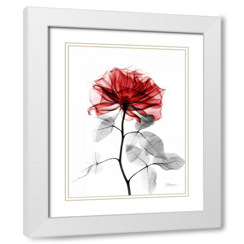 Rose 32 White Modern Wood Framed Art Print with Double Matting by Koetsier, Albert