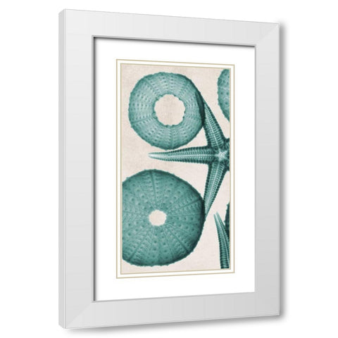 under The Sea 2 White Modern Wood Framed Art Print with Double Matting by Koetsier, Albert