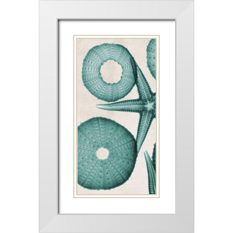 under The Sea 2 White Modern Wood Framed Art Print with Double Matting by Koetsier, Albert