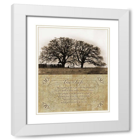 Costa Country White Modern Wood Framed Art Print with Double Matting by Koetsier, Albert