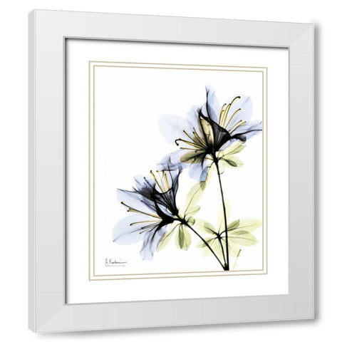 Azalea Duo White Modern Wood Framed Art Print with Double Matting by Koetsier, Albert