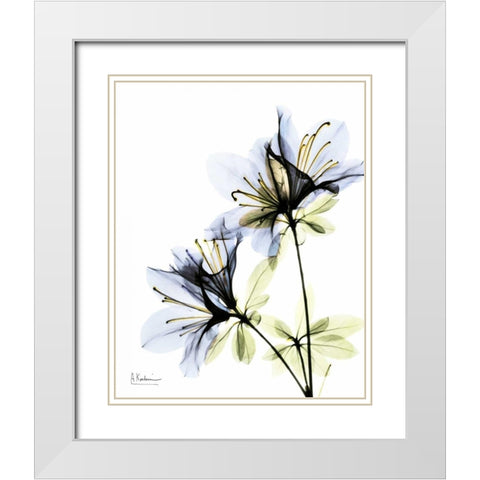 Azalea Duo White Modern Wood Framed Art Print with Double Matting by Koetsier, Albert