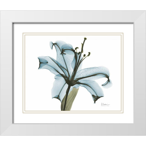 Teal Lily White Modern Wood Framed Art Print with Double Matting by Koetsier, Albert