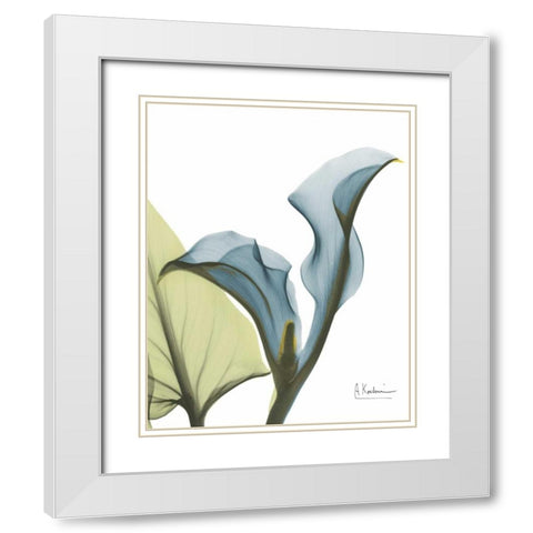 Calla Blues White Modern Wood Framed Art Print with Double Matting by Koetsier, Albert