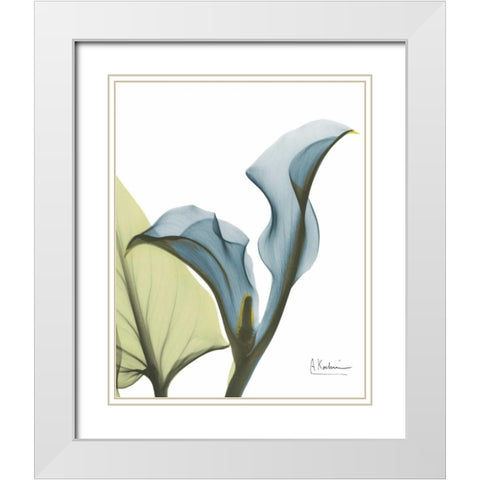 Calla Blues White Modern Wood Framed Art Print with Double Matting by Koetsier, Albert