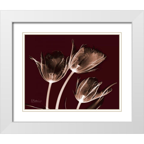 Crimson Tulips White Modern Wood Framed Art Print with Double Matting by Koetsier, Albert