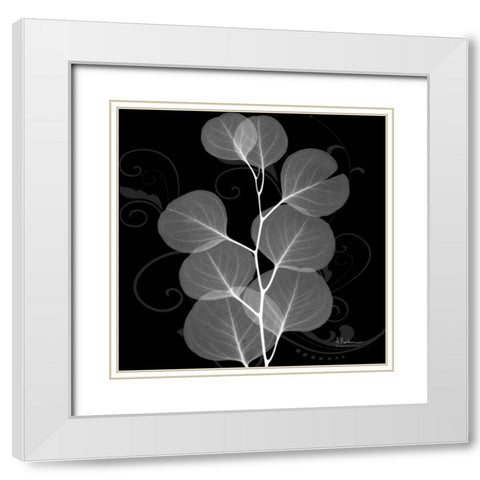 Eucalyptus E196 White Modern Wood Framed Art Print with Double Matting by Koetsier, Albert