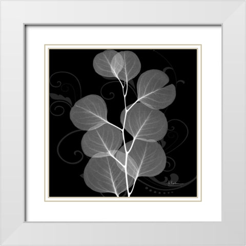 Eucalyptus E196 White Modern Wood Framed Art Print with Double Matting by Koetsier, Albert