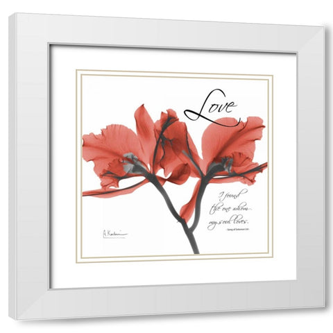 Royal Red Orchid - Love Again White Modern Wood Framed Art Print with Double Matting by Koetsier, Albert