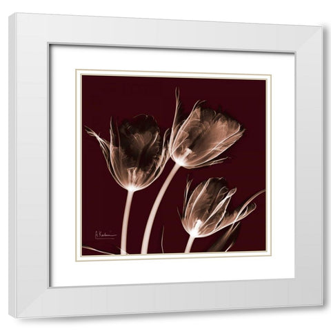 Tabitha Tulip Trio White Modern Wood Framed Art Print with Double Matting by Koetsier, Albert